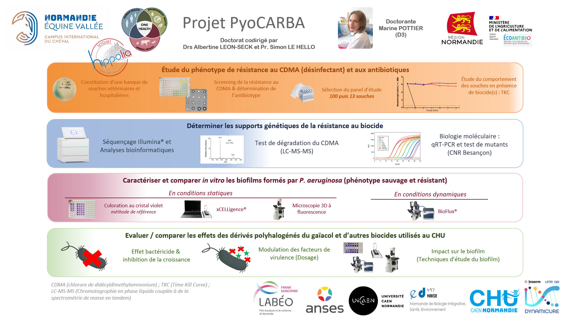 projet PyoCARBA